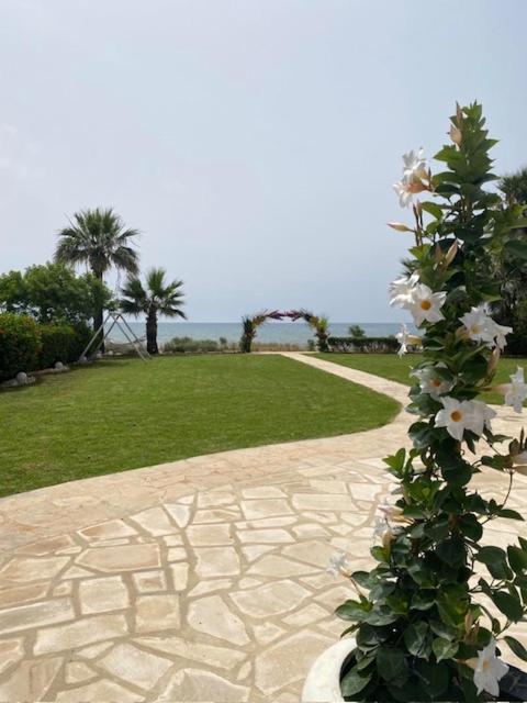 Ionion Beachfront Villa Айя-Напа Экстерьер фото