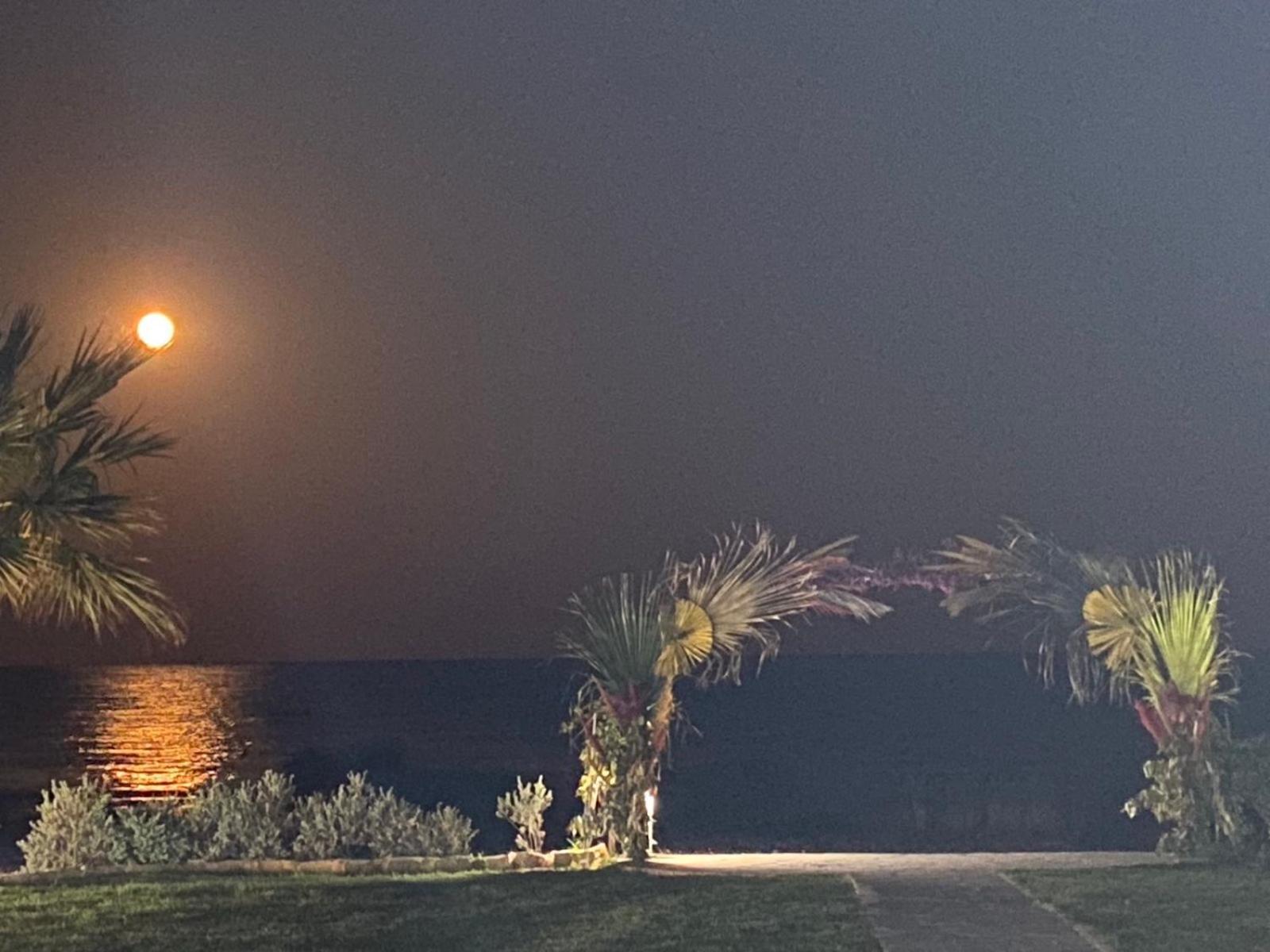 Ionion Beachfront Villa Айя-Напа Экстерьер фото