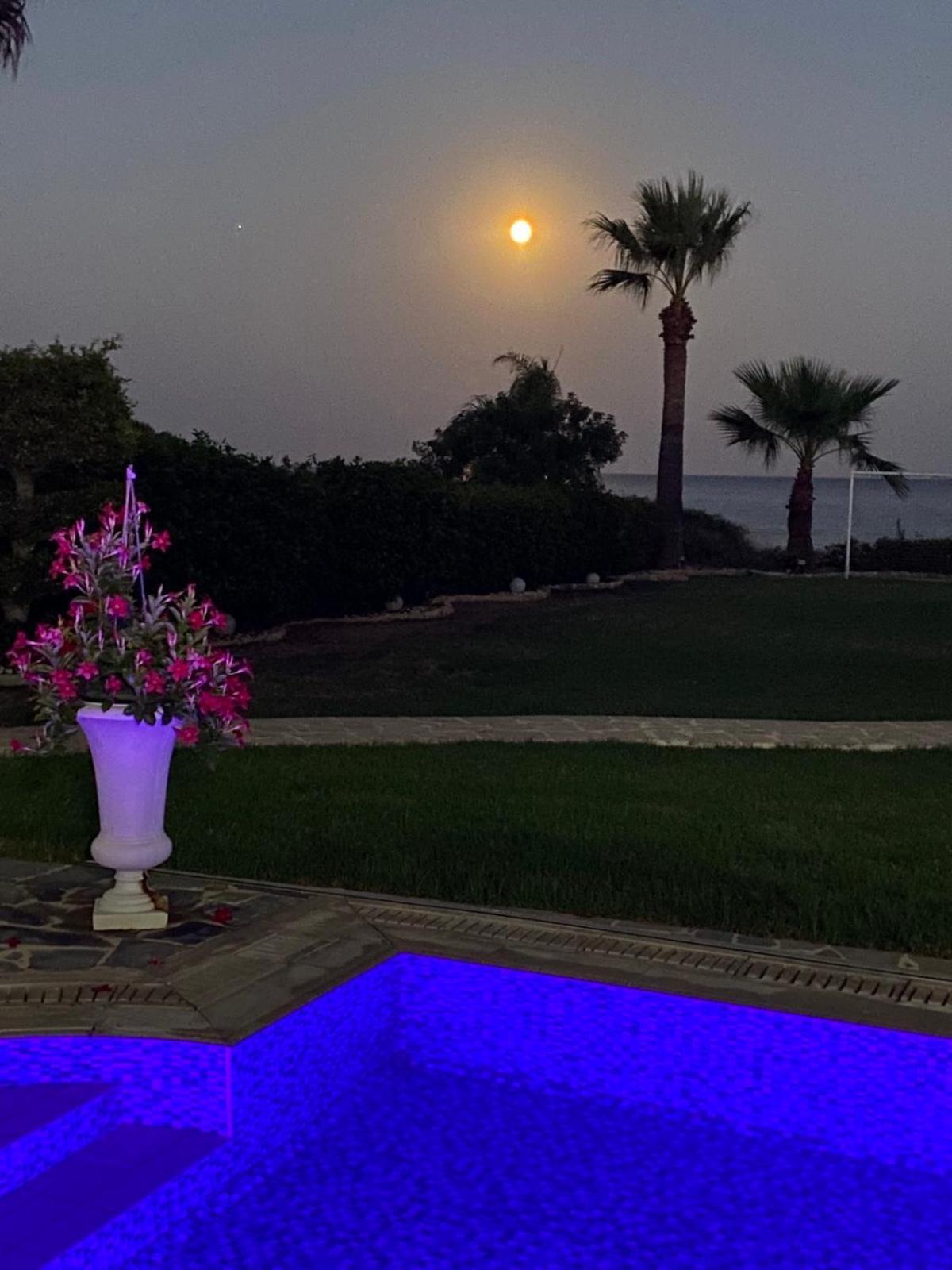 Ionion Beachfront Villa Айя-Напа Экстерьер фото